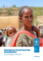 wfp_tigray_emergency_food_security_assessment_jan2022 (1).pdf